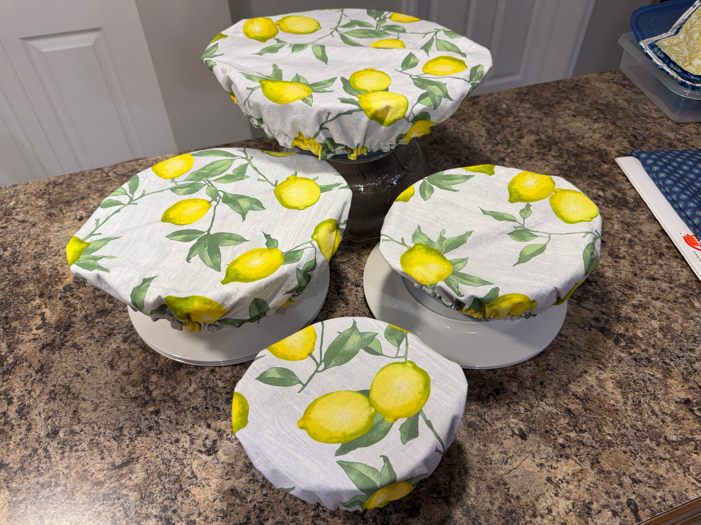 Diane Zetterstrom - Bowl Covers Set of 4