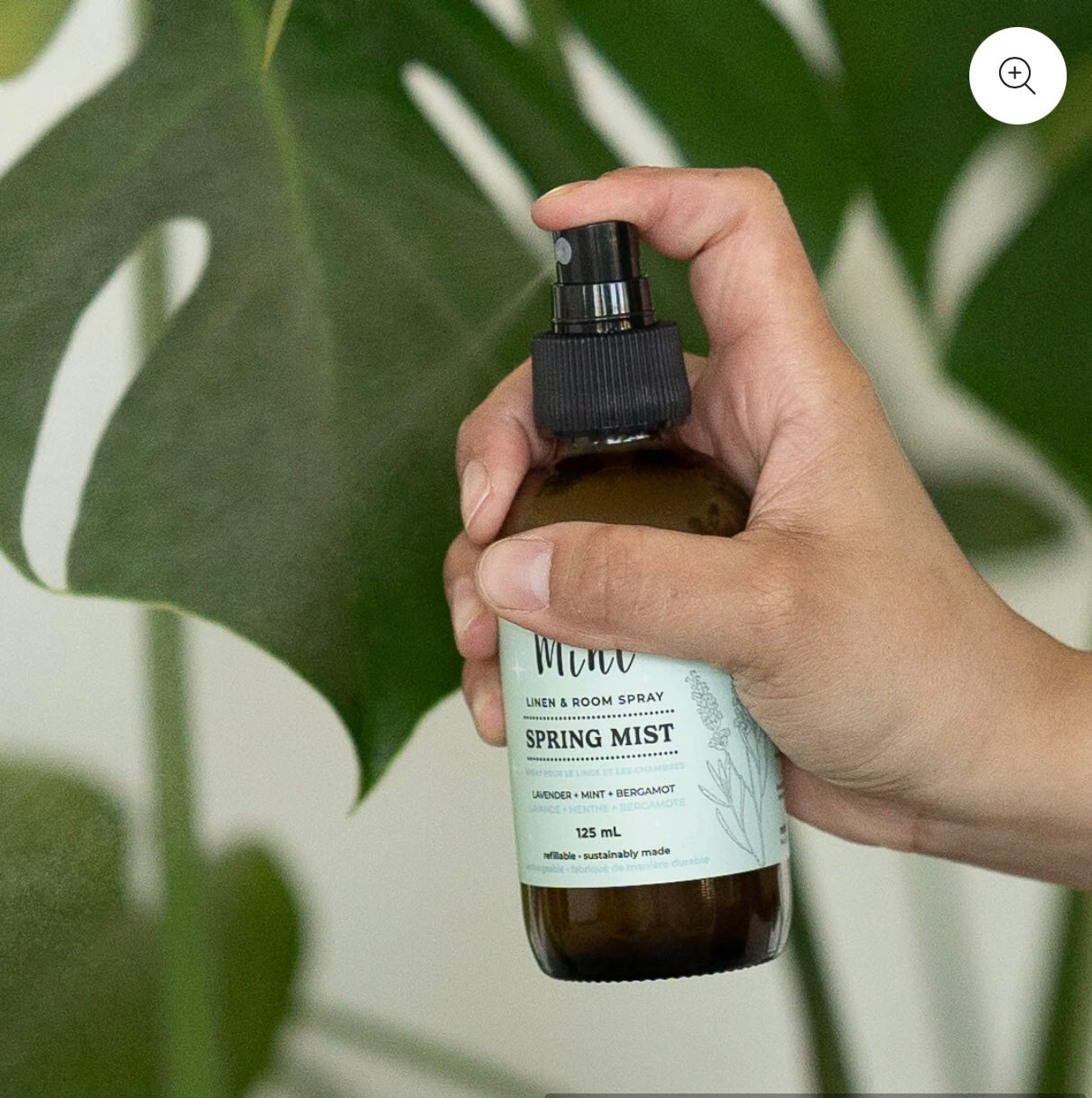 Mint Cleaning Products - Spring Mist