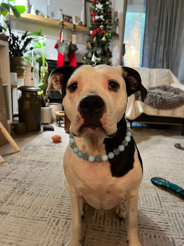 POPNCO Handcrafted Beaded Pet Collars - 16" Collars