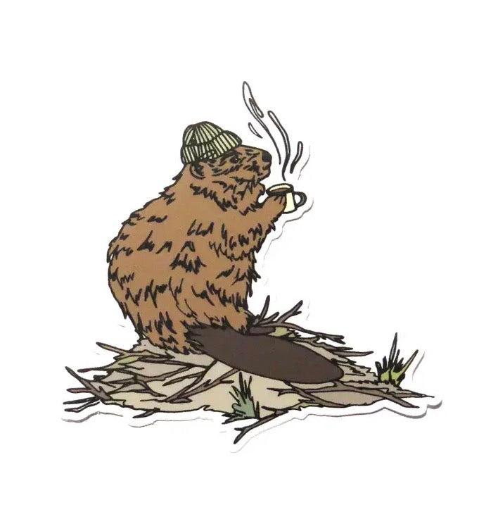 Wild Life Illustration Co. - Beaver Sticker