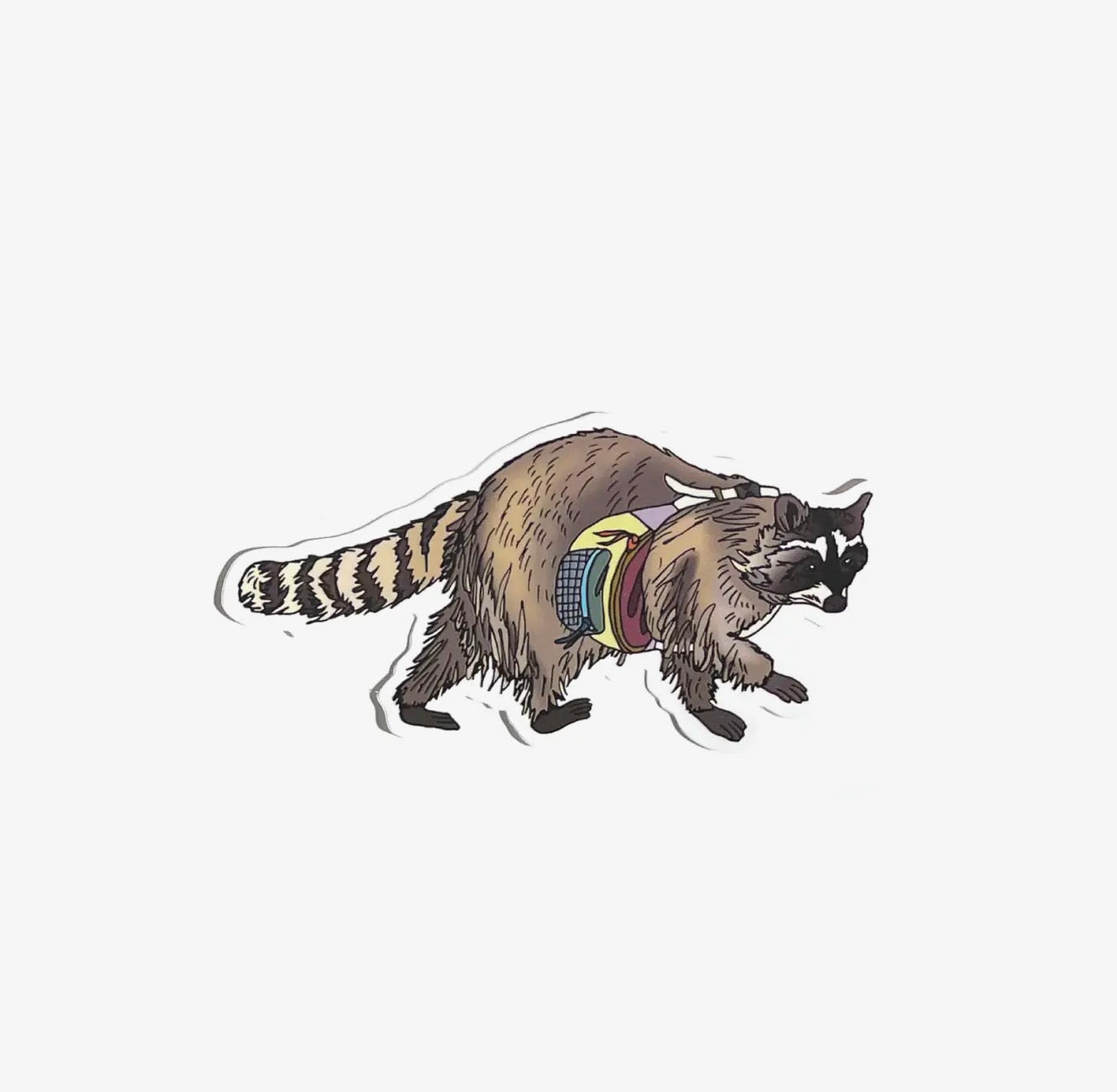 Wild Life Illustration Co. - Hiking Raccoon Sticker