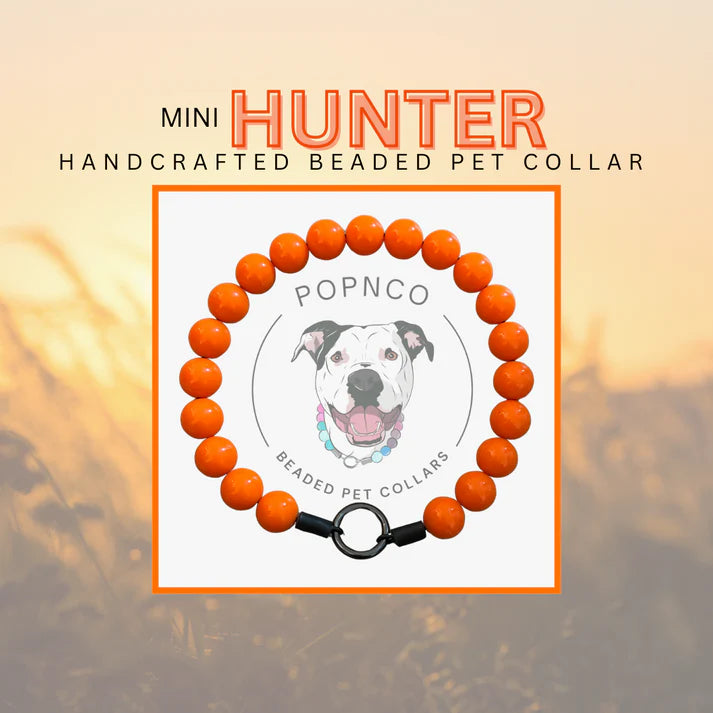 POPNCO Handcrafted Beaded Pet Collars - 15"Collars