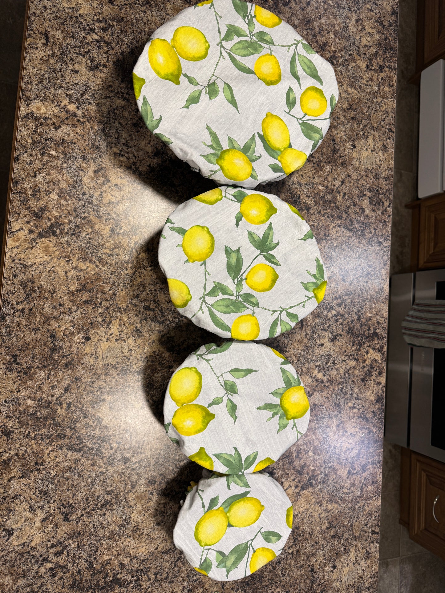 Diane Zetterstrom - Bowl Covers Set of 4