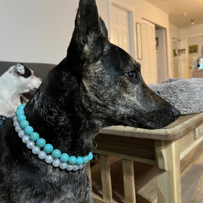 POPNCO Handcrafted Beaded Pet Collars - 14.5" Collars