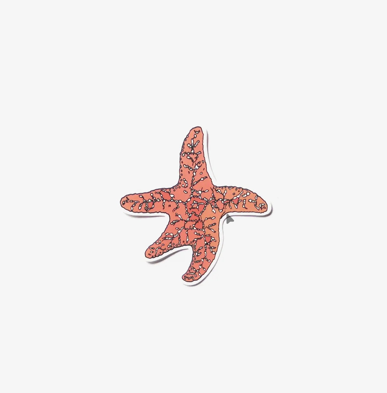 Wild Life Illustration Co. - Orange Starfish Sticker