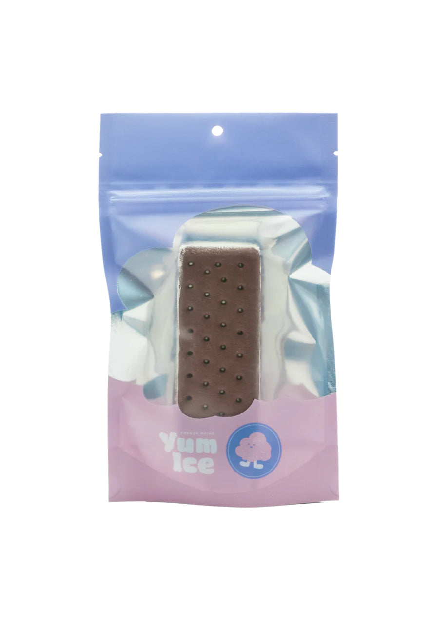 Yum Ice - Freeze Dried Chocolate Chip Ice Cream Sandwich