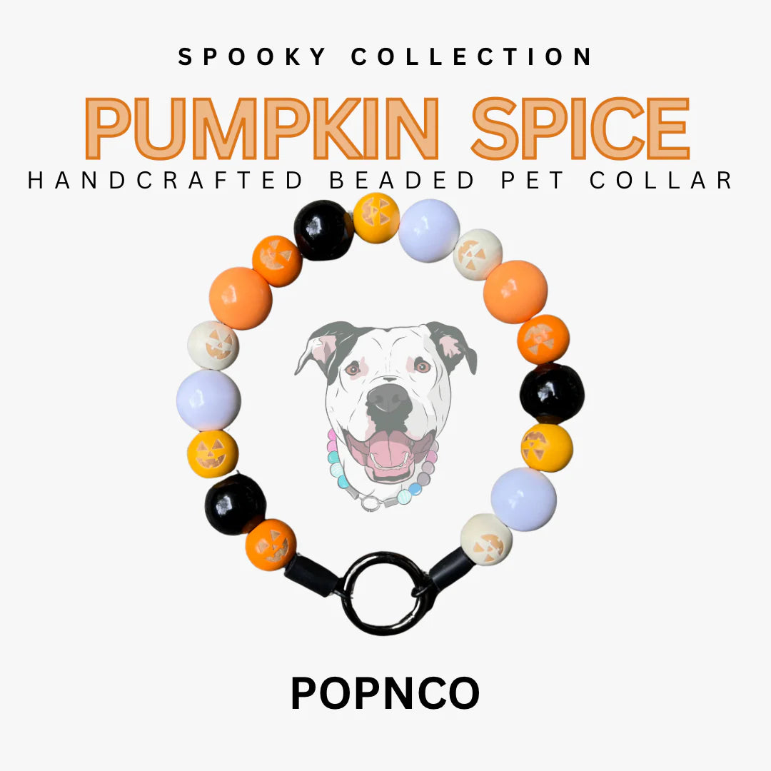 POPNCO Hand Crafted Beaded Pet Collars - 11.5" Collars