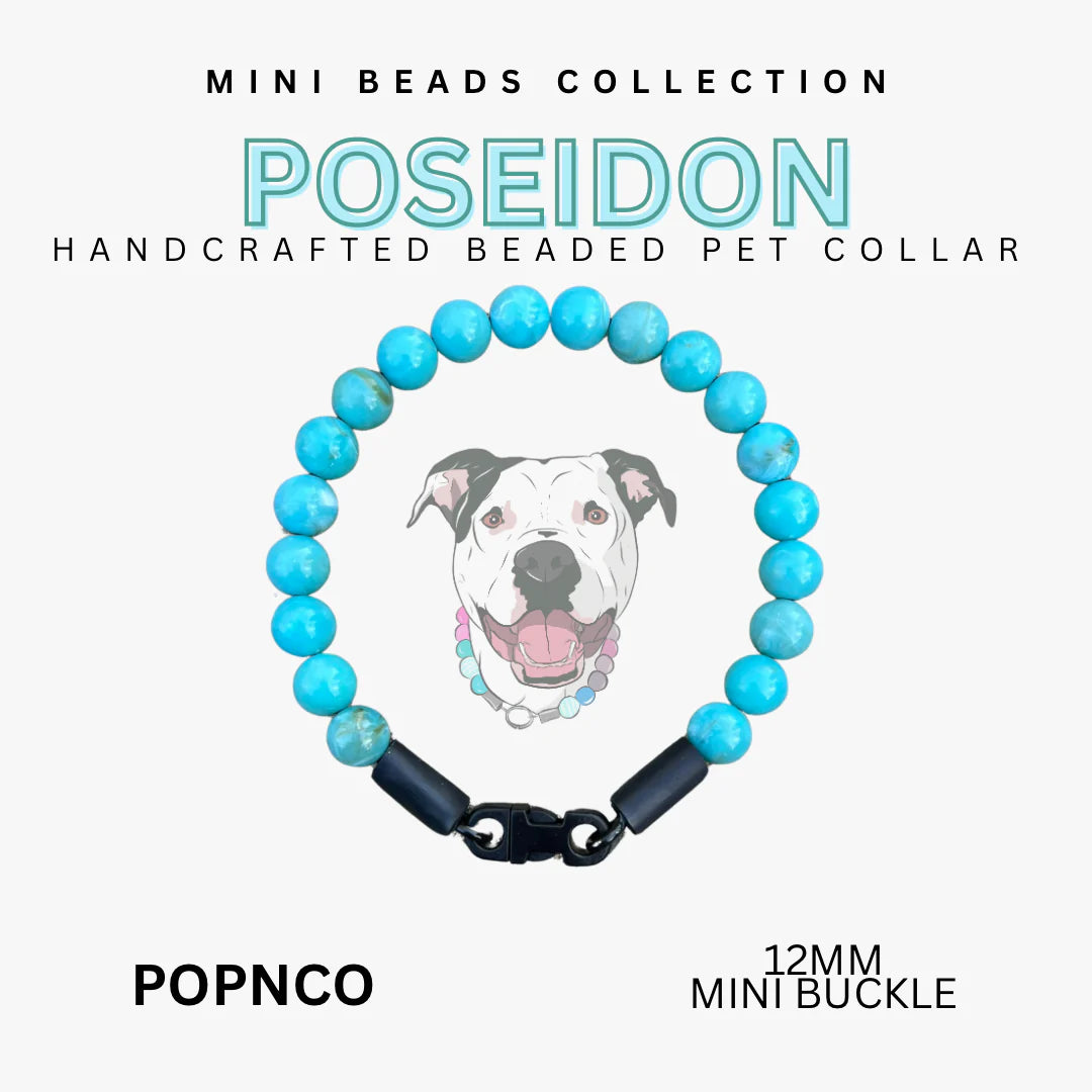 POPNCO Handcrafted Beaded Pet Collars - 10.5" Pet Collars
