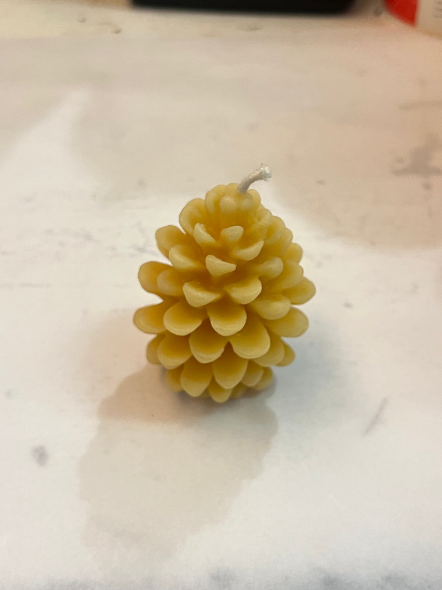 BC Bee - Pinecone Beeswax Candle