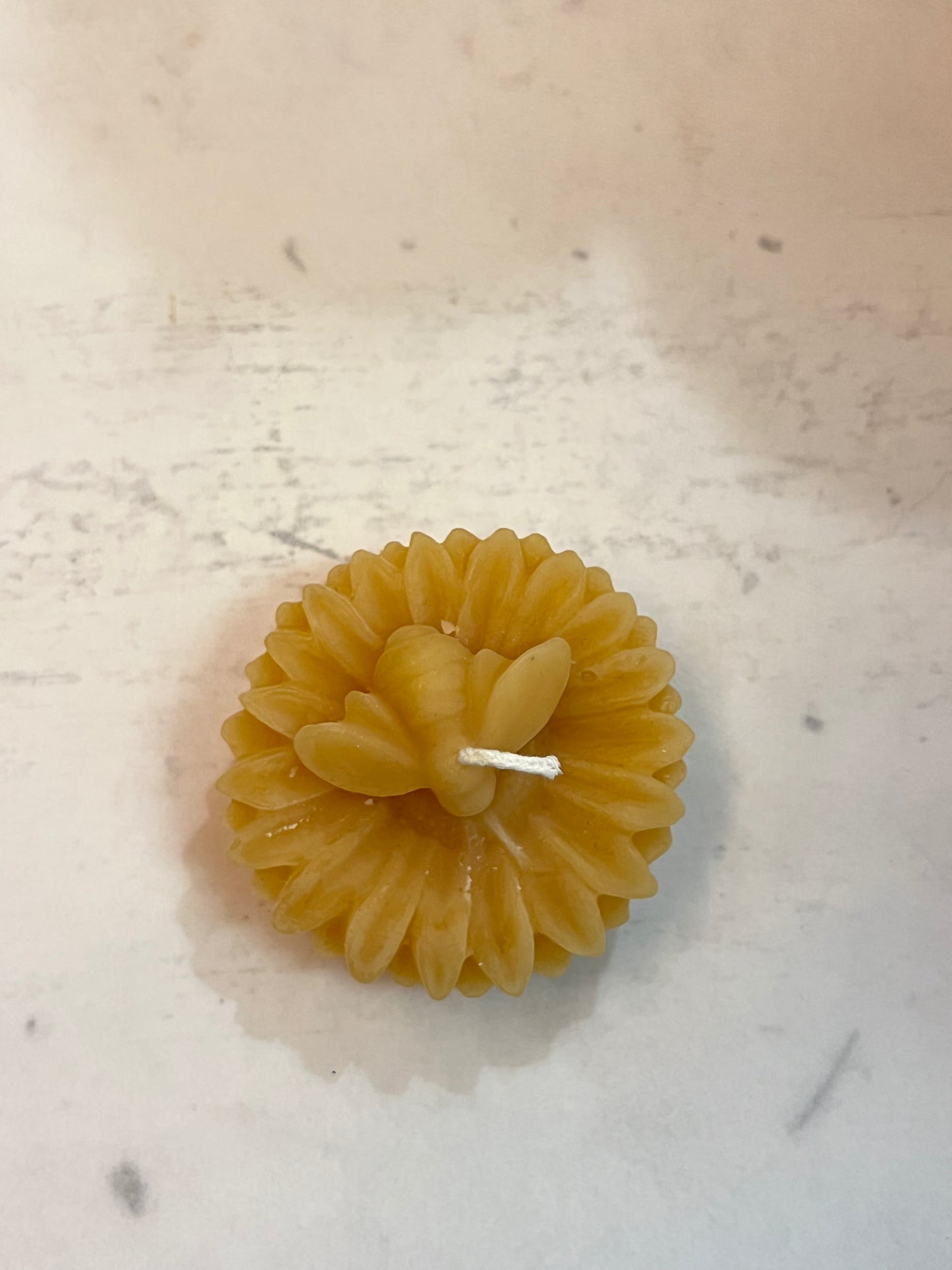 BC Bee - Float Flower Beeswax Candle