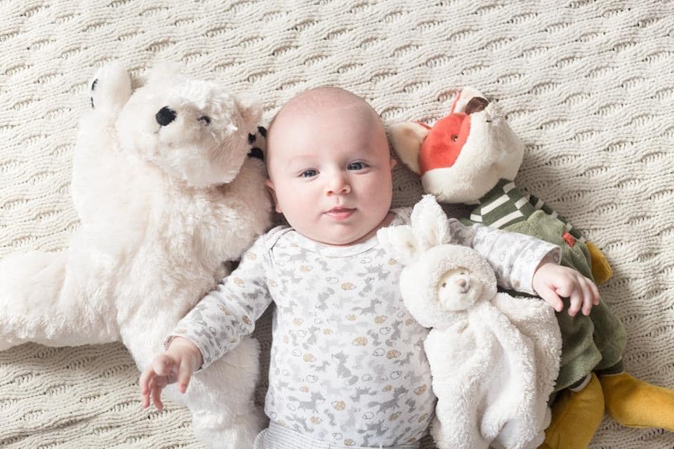 Bukowski Bears - Ziggy Blankie