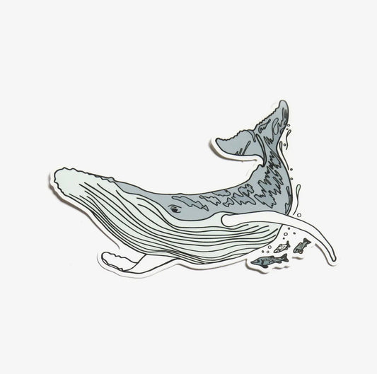 Wild Life Illustration Co. - Humpback Whale Sticker