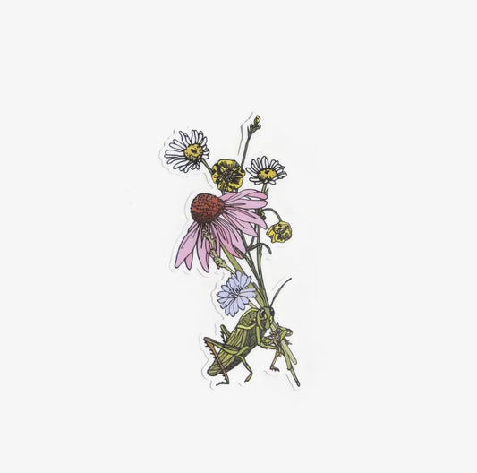 Wild Life Illustration Co. - Flower Carrying Grasshopper