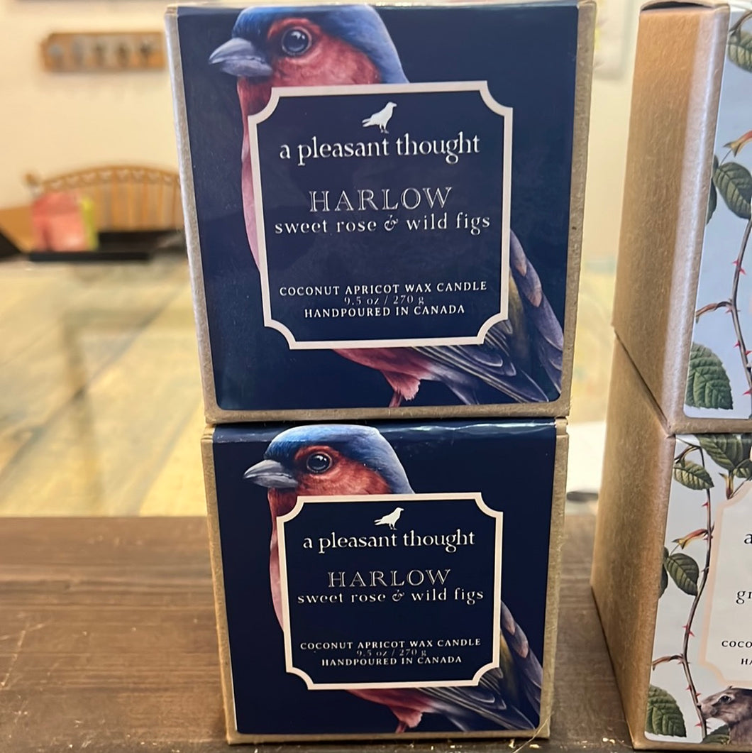 A Pleasant Thought - Harlow Candle