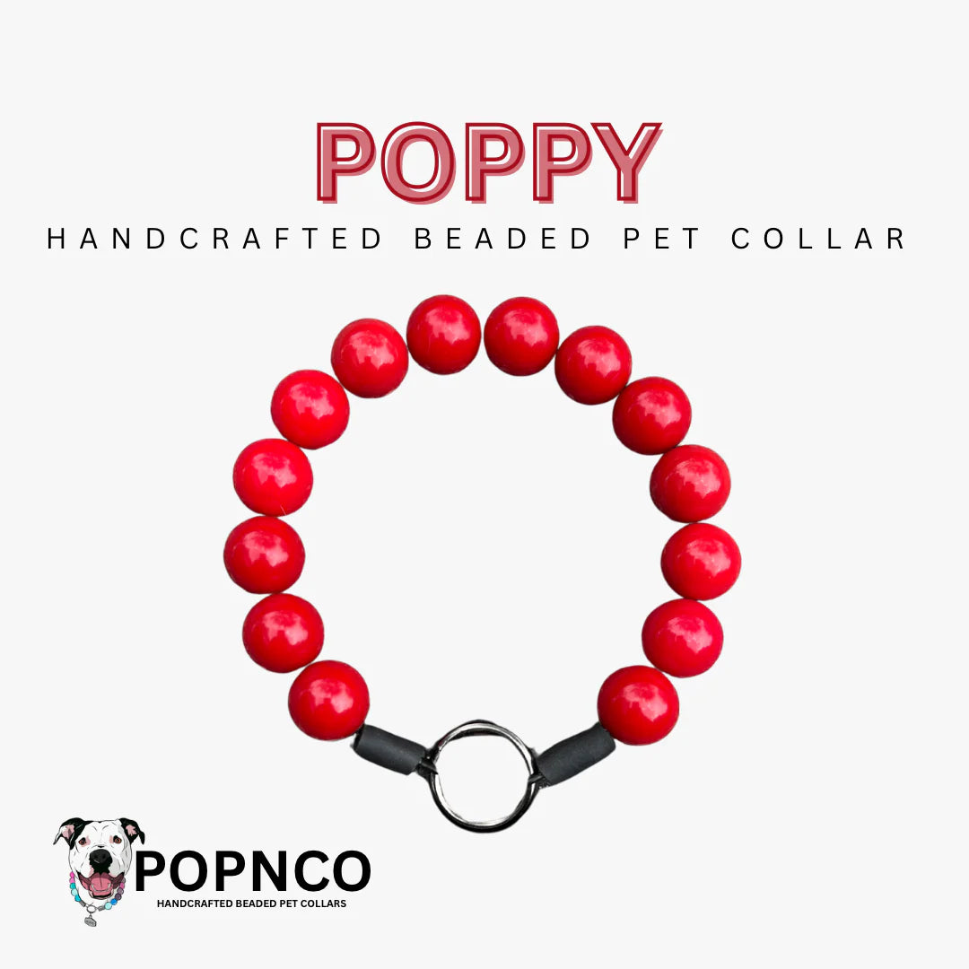 POPNCO Handcrafted Beaded Pet Collar - 12.5" Collars