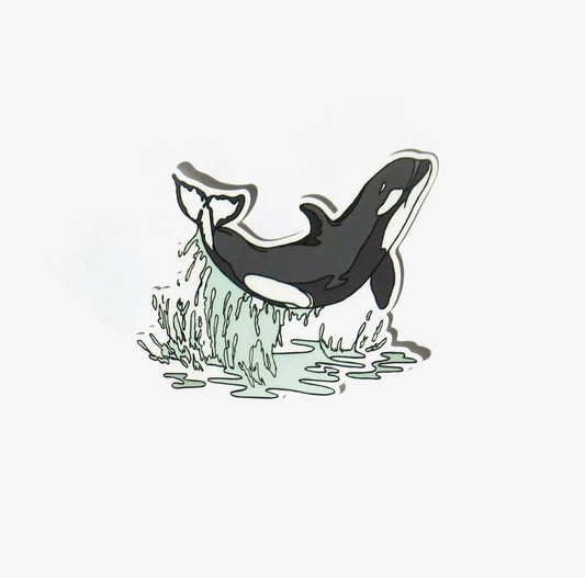 Wild Life Illustration Co. - Orca Whale Sticker