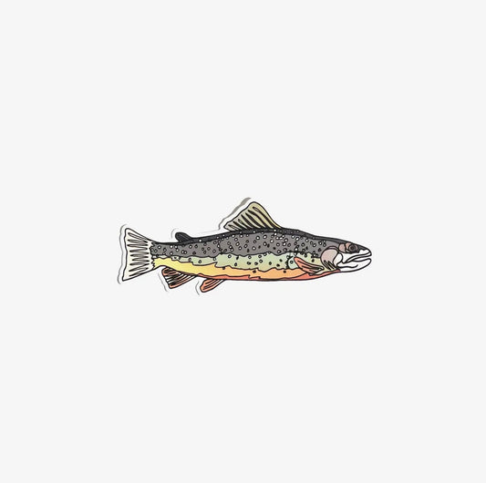 Wild Life Illustration Co. - Trout Fish Sticker