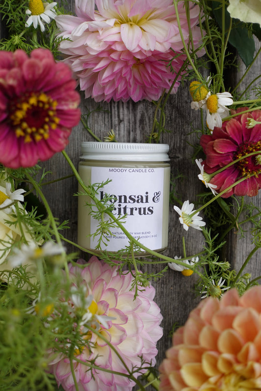 Moody Candle Co. - Bonsai & Citrus