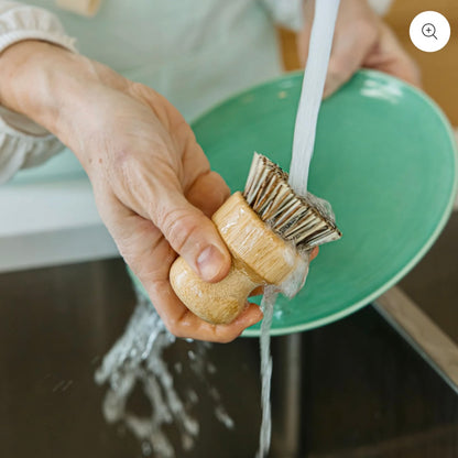 Mint Cleaning Products - Bamboo Dish Brush