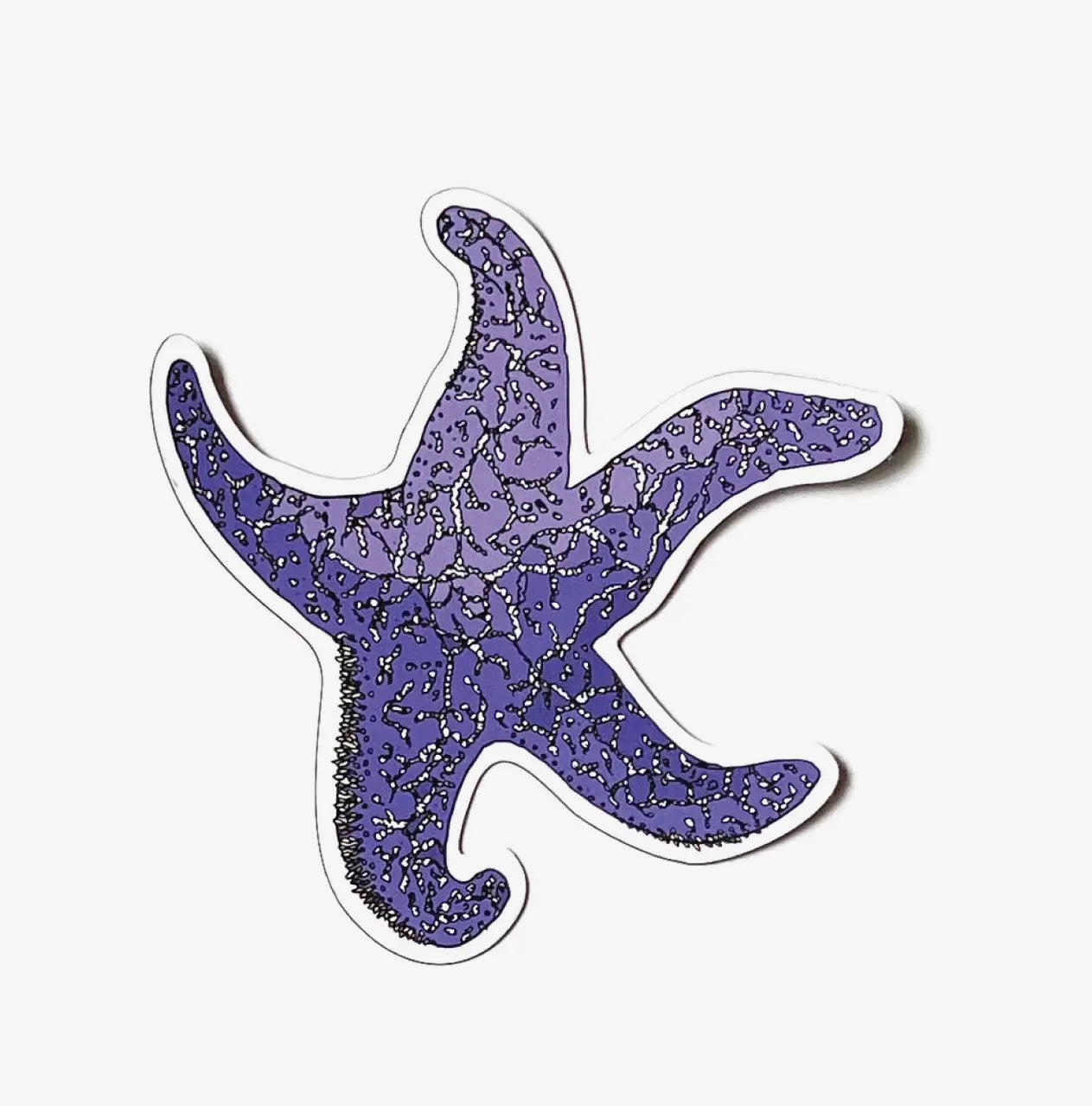 Wild Life Illustration Co. - Starfish Magnet