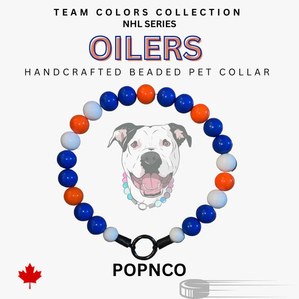 POPNCO Handcrafted Beaded Pet Collars - 15"Collars