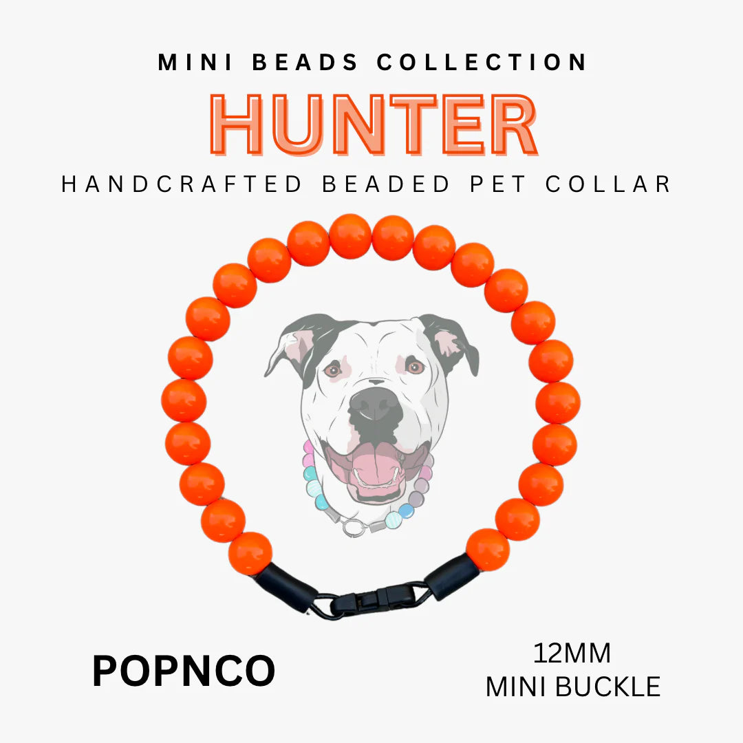 POPNCO Handcrafted Beaded Pet Collars - 13" Collars