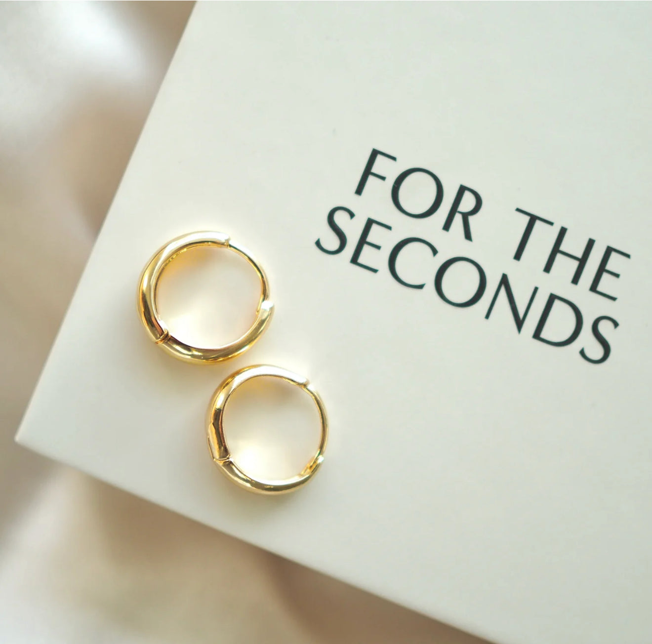 For The Seconds - Brittany Hoops