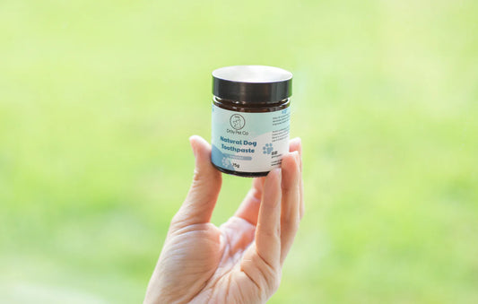 Drby Pet Co. - Natural Pet Toothpaste