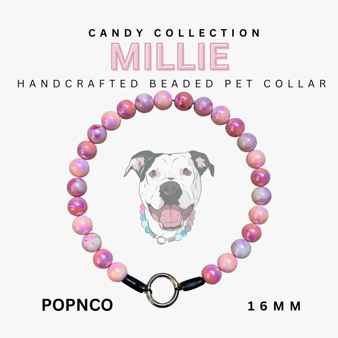 POPNCO Handcrafted Beaded Pet Collars - 15"Collars