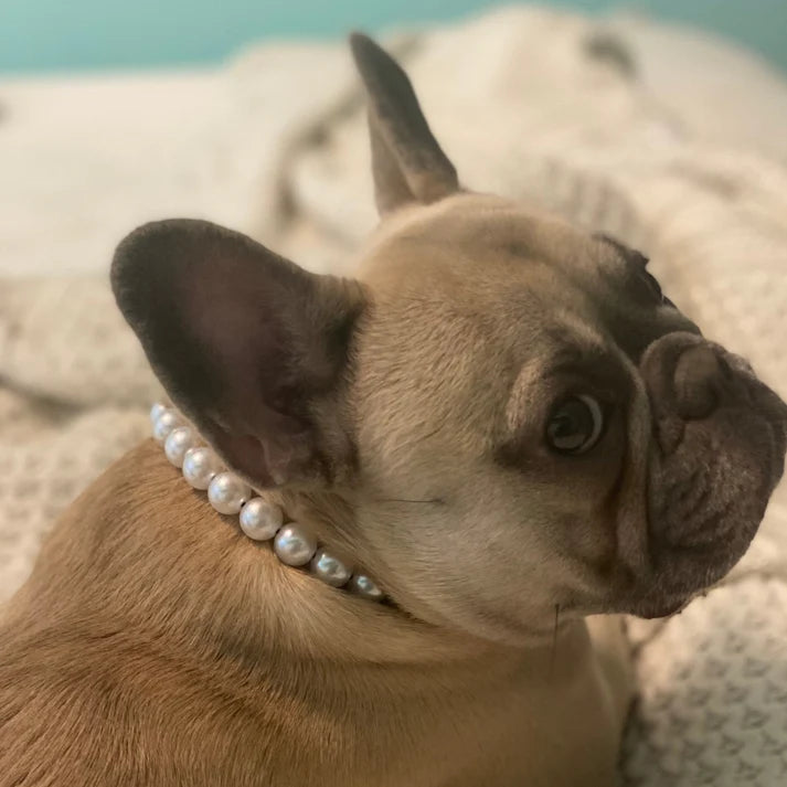 POPNCO Handcrafted Beaded Pet Collars - 19.5" Collars