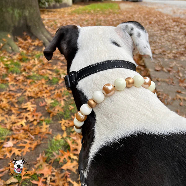 POPNCO Handcrafted Beaded Pet Collars - 17.25"