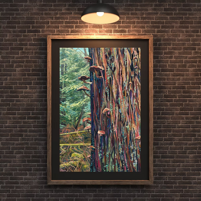 Leah Fisher Art - Mushrooms At Mundy Park
