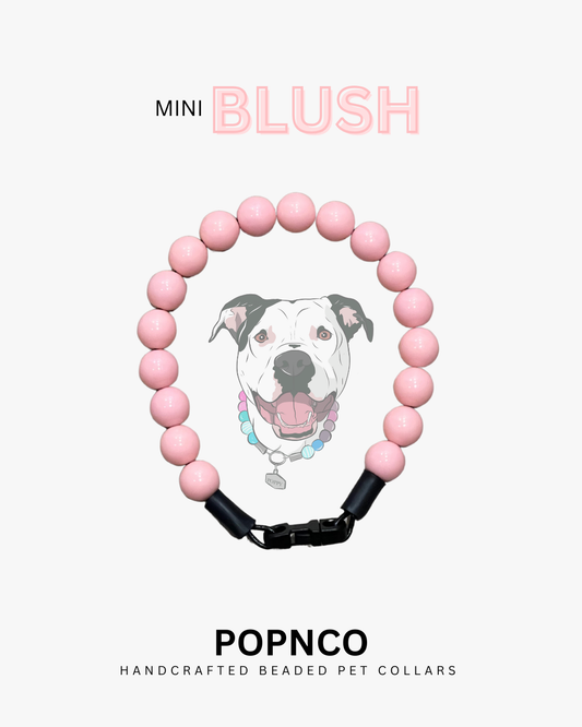 POPNCO Handcrafted Beaded Pet Collars - 10" Pet Collars
