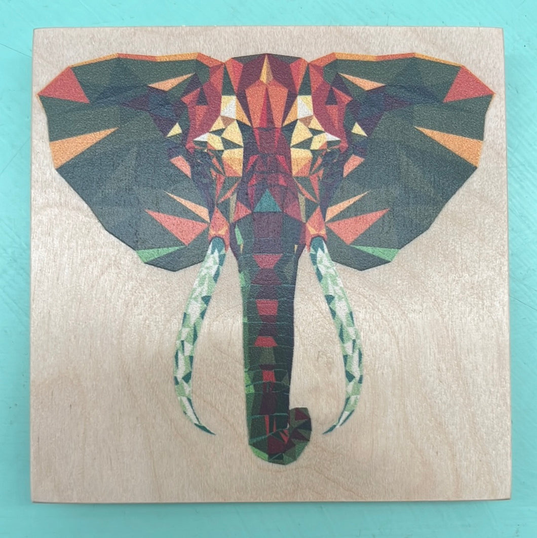 Reclaimed Print Co. - Coaster - Elephant 2023