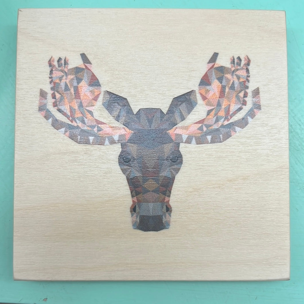 Reclaimed Print Co - Coaster