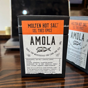 Amola - Molten Hot salt 2023