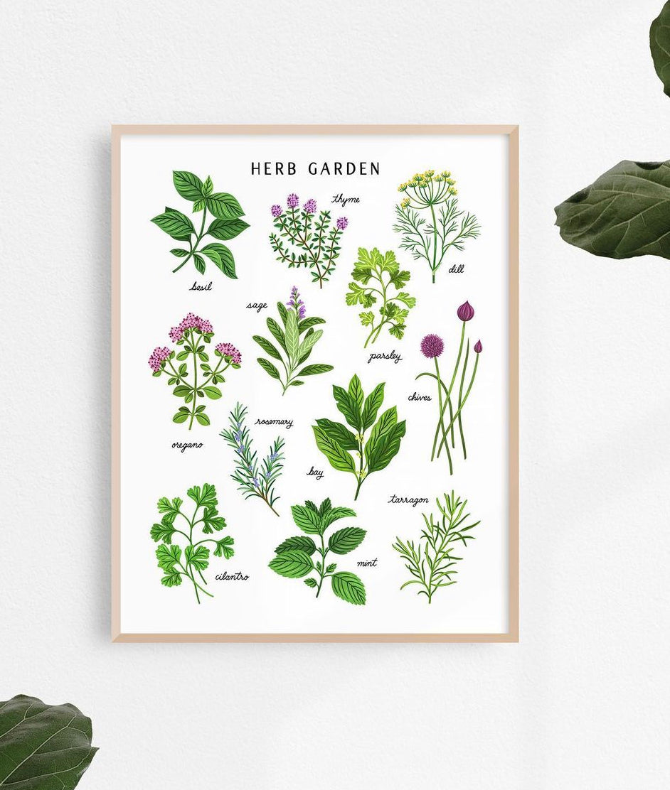 Linden Paper - Herb Garden Print